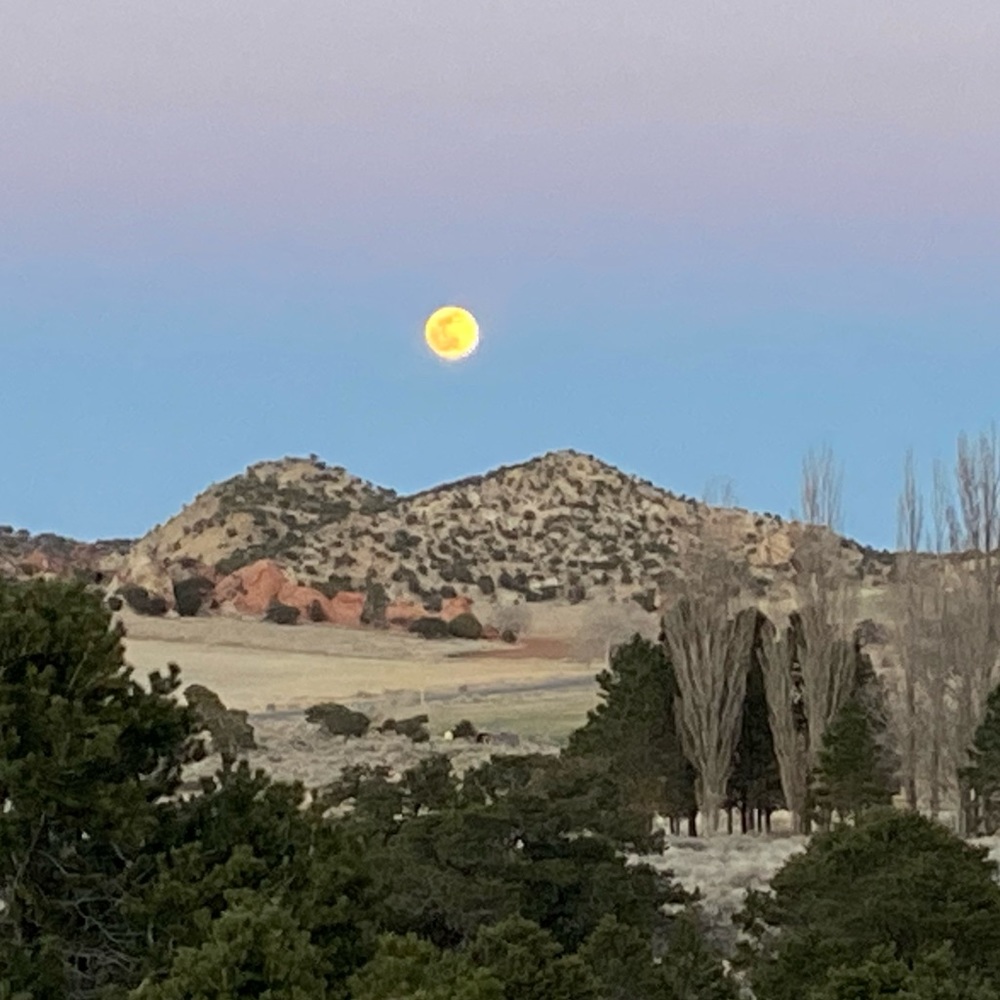 Meet the Posher, Lesa!